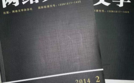 文学期刊,承载时代精神，展现文学风采