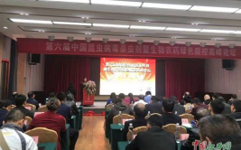 农药论坛,绿色、创新与可持续发展的农药产业新篇章