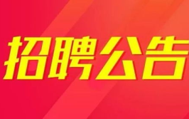 招聘教师的网站,教师职位精选汇总