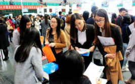 在上海找工作去哪里找,揭秘高效求职信息获取渠道