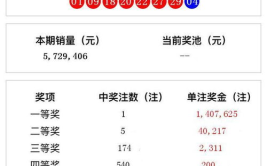 开奖码开奖结果,深度解析最新开奖结果背后的数据与趋势