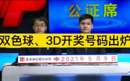 双彩网3d,揭秘数字彩市的魅力与机遇