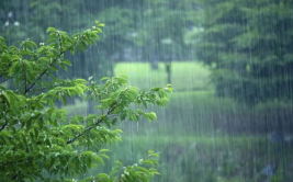 有关雨的古诗