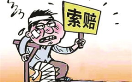 人身损害赔偿网,2025年人身损害赔偿法律制度详解与案例分析