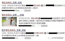 河北seo,揭秘提升网站排名的本地策略