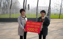 云阳人力资源和社会保障网,最新政策解读与就业服务概览