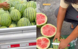 网红我勒个豆吃瓜,揭秘网红背后的真实故事