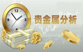 平台贵金属,平台视角下的投资机遇与风险