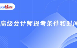 高级会计师报名条件,必备资质与职业发展新机遇